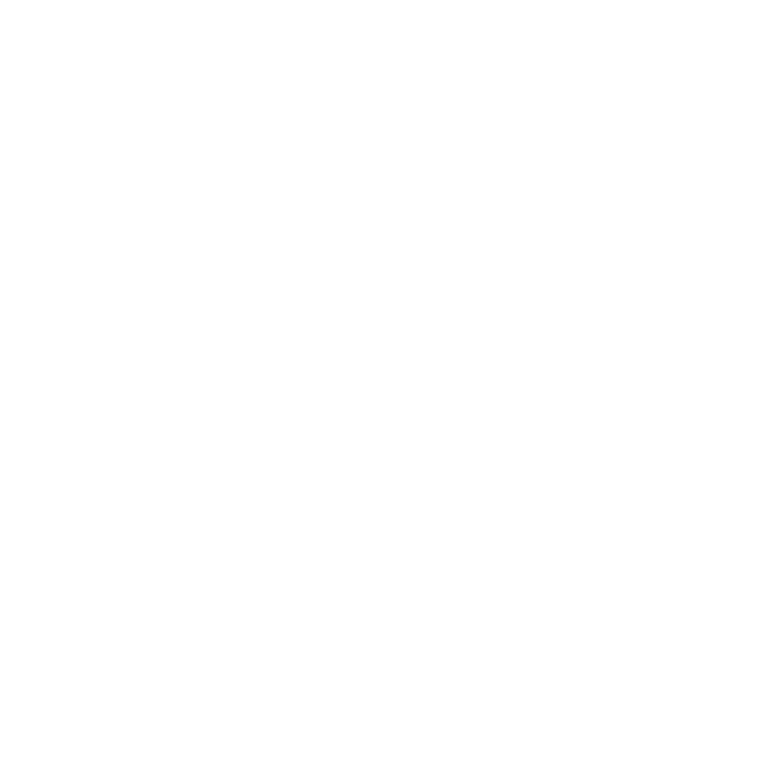 logo4 (1)